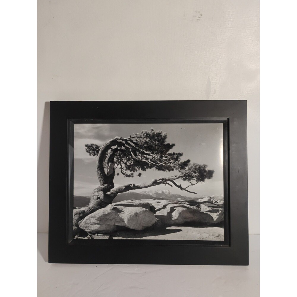 Ansel Adams Jeffrey Pine Sentinel Dome Yosemite Framed 14"x16.5 Hardwood frame